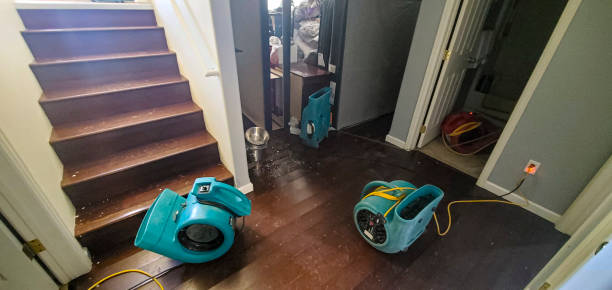 Best Residential water damage restoration  in Shingle Springs, CA