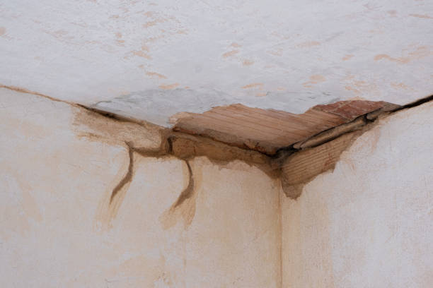 Best Emergency water damage restoration  in Shingle Springs, CA