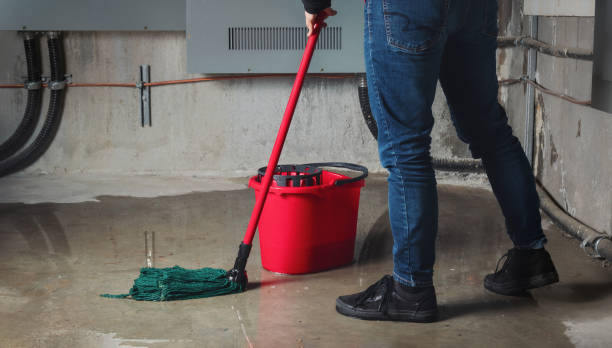 Best Flooded house restoration  in Shingle Springs, CA