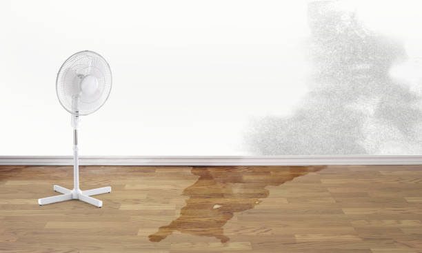 Best Carpet water damage restoration  in Shingle Springs, CA