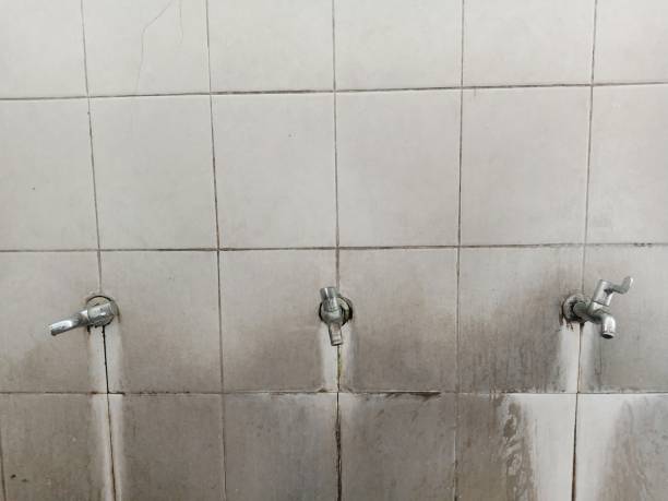 Best 24/7 water damage repair  in Shingle Springs, CA