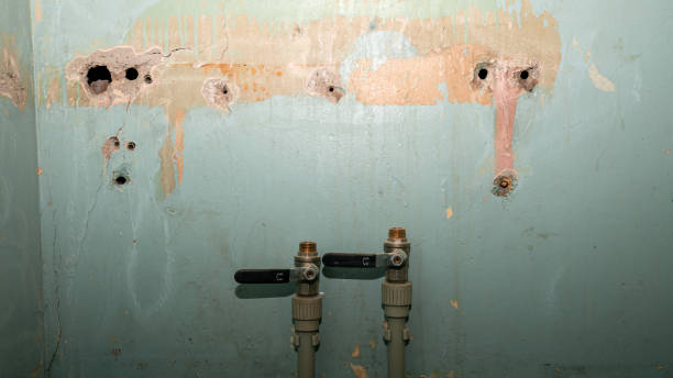 Best Water damage contractors near me  in Shingle Springs, CA