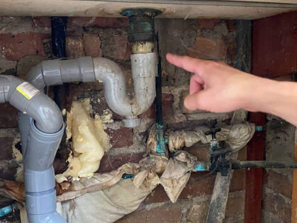 Best Water damage cleanup near me  in Shingle Springs, CA